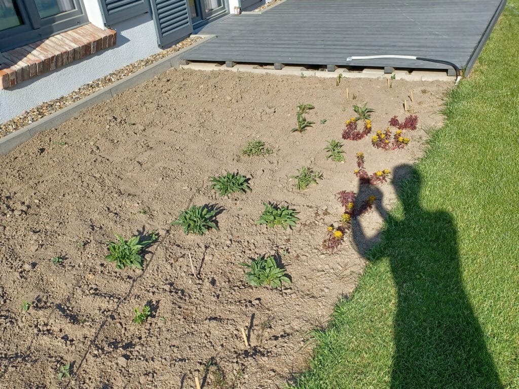 Vor der Pflanzplanung: leeres Beet