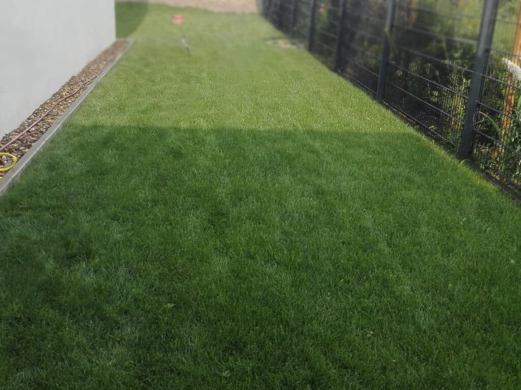 Schlichte Rasenfläche